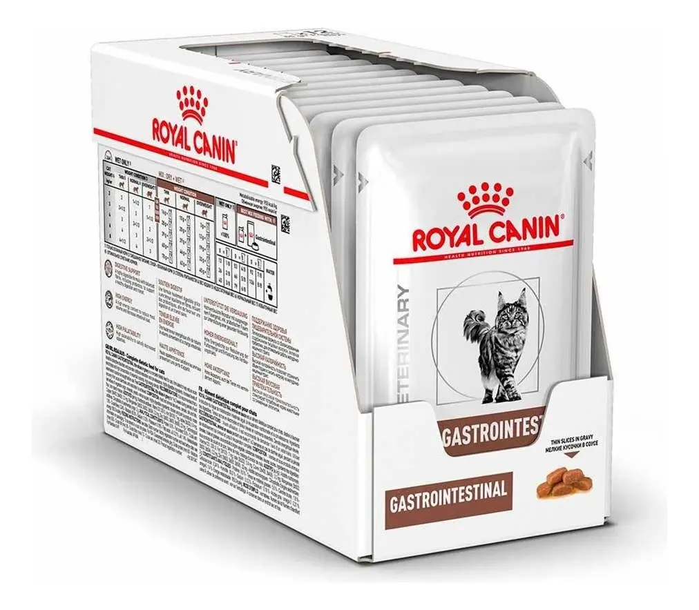 Gastrointestinal Pouch