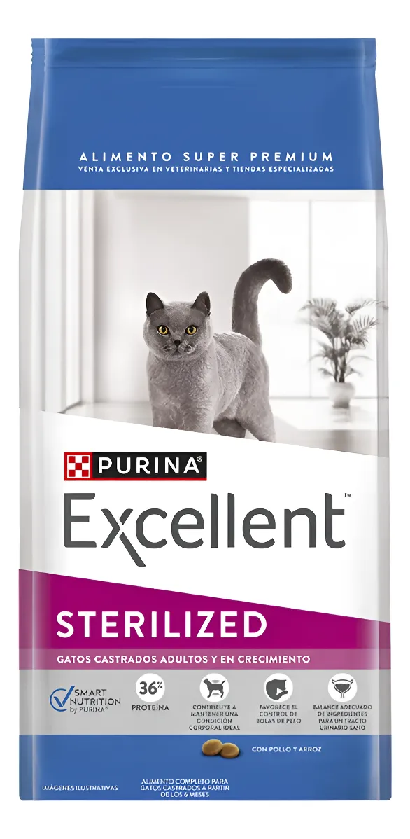 EXCELLENT Gato sterilized
