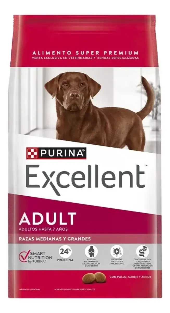 EXCELLENT Adult Medium Large Breed CH&R